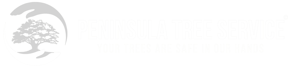 Peninsula Tree Service