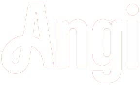 Angis